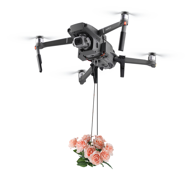 BRDRC-sistema de caída de AirD - Dji Drone Mini 4 Pro reseña y precio